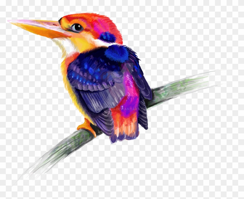 Kingfisher Png Transparent - Portable Network Graphics #903519