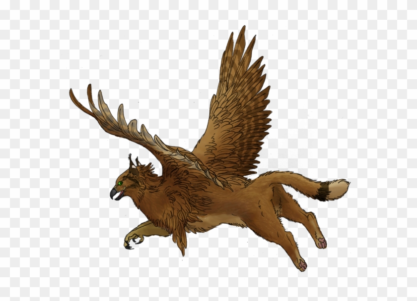 Gryphon Flight-sketch 6 Dakota By Ciameth - Gryphon Flying Png #903559