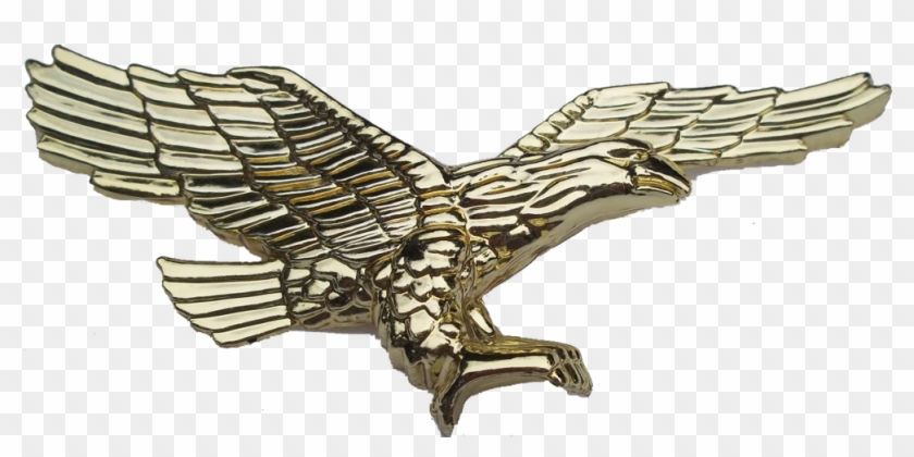 Eagle - Osprey #903570