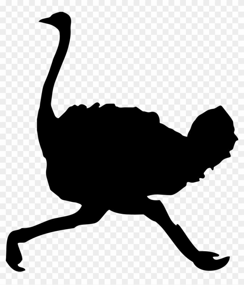 Png File Svg - Ostrich Silhouette #903589