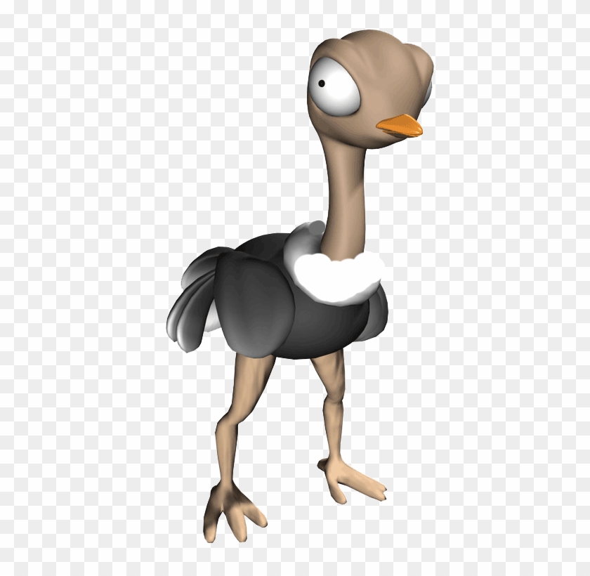 Common Ostrich Duck Bird Cartoon - Common Ostrich #903591