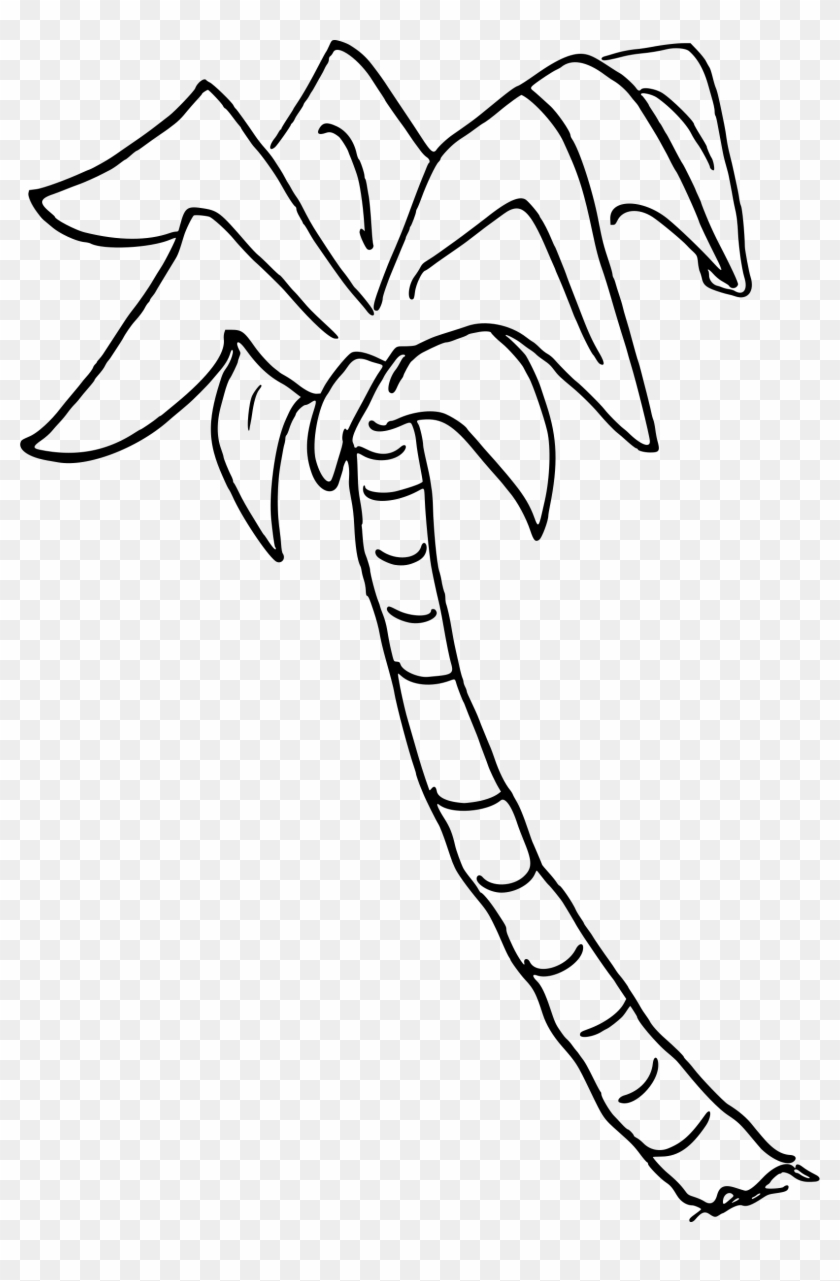 Palm Tree 6 - Draw A Sabal Palm #904207