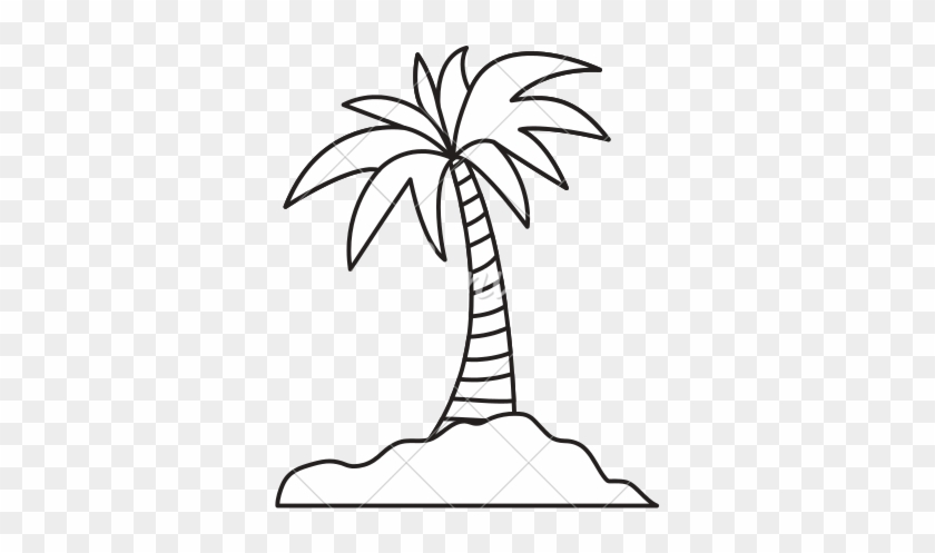 Island Palm Tree - Palm Island Draw #904220