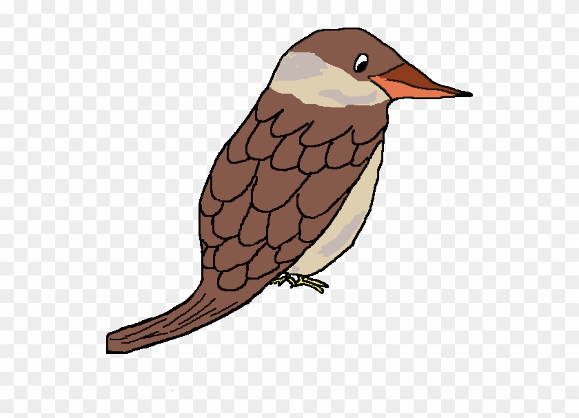 Kookaburra Clipart Cute - Kookaburra Clip Art #904227