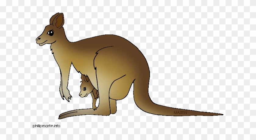 Australian Clipart Kangaroo Clipart - Kangaroo Clip Art #904234