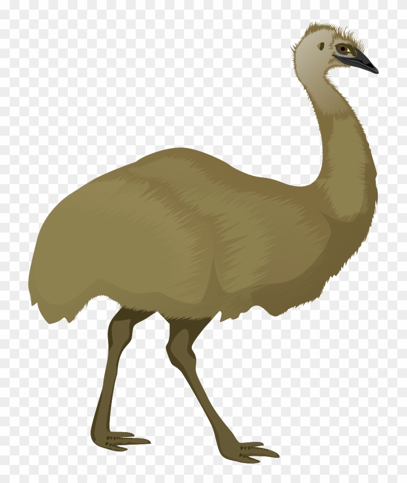Free To Use & Public Domain Birds Clip Art - Emu Clip Art #904236