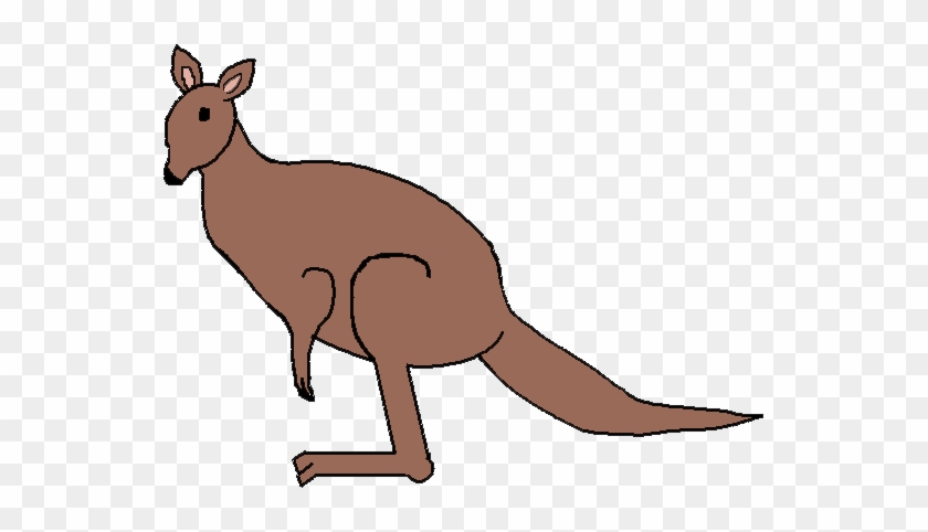 Featured image of post Kangaroo Vector Gif Red kangaroo illustration jumping kangaroos brown mammal png