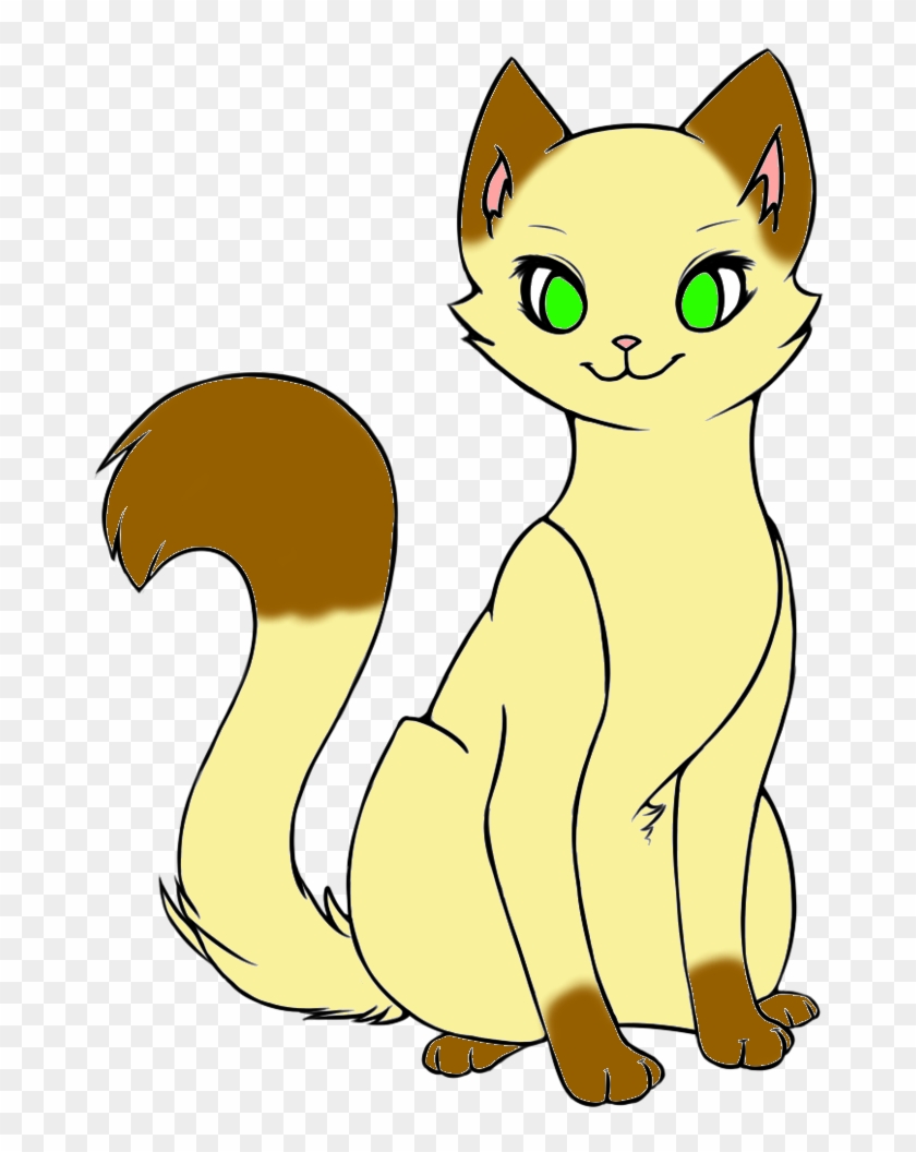 Cute Siamese Cat By Flyingcupcakess - Cat #904369