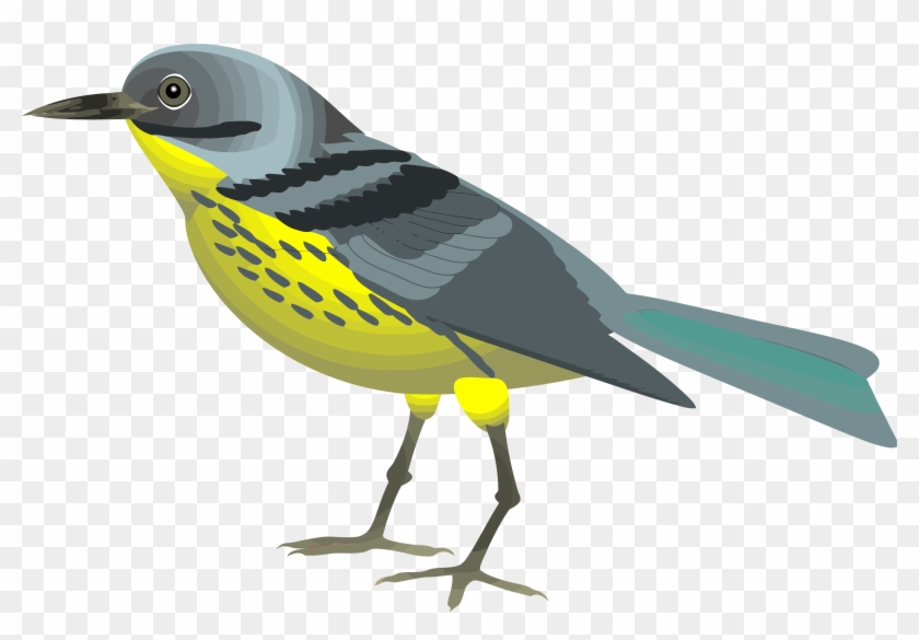 Finch Clipart Golden Bird - Bird Clipart #904409
