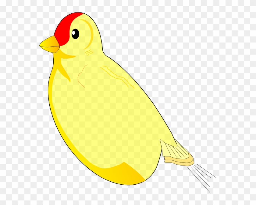 Bird Without Wings Clip Art #904468
