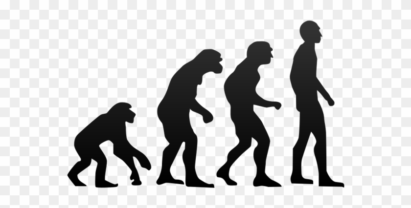 Humans Will Become Faster And Stronger As Evolution - Human Evolution Png #904589