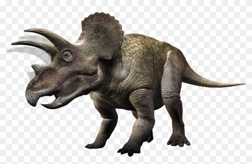 Triceratops Clipart Transparent - Dinosaur Ceratopsia #904760