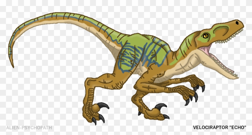 Tyrannosaurus Triceratops Stegosaurus Velociraptor - Jurassic World #904763