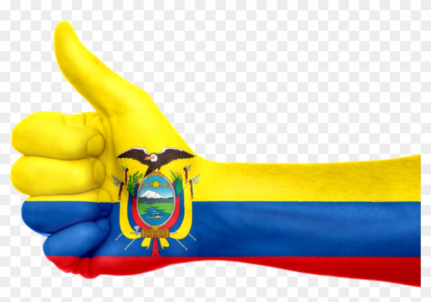Ecuador - Ecuador Flag #904808