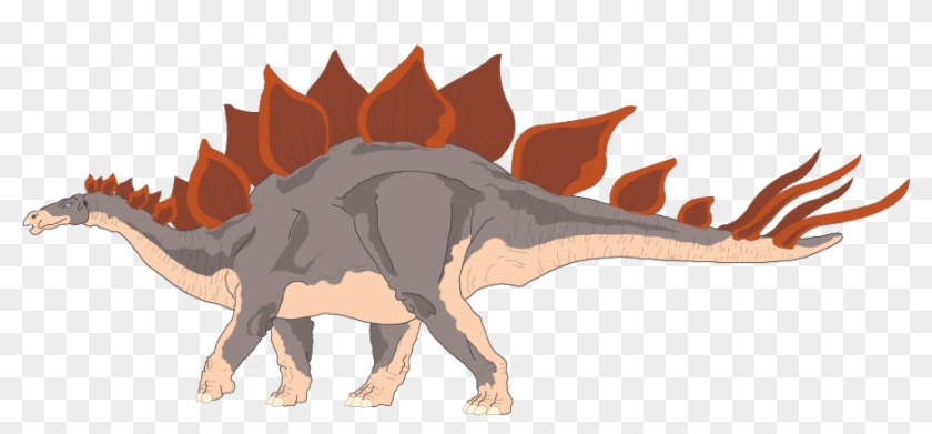 Estegosaurio En Vector E Imagen Normal Con Fondo Transparente - Stegosaurus Free #904849