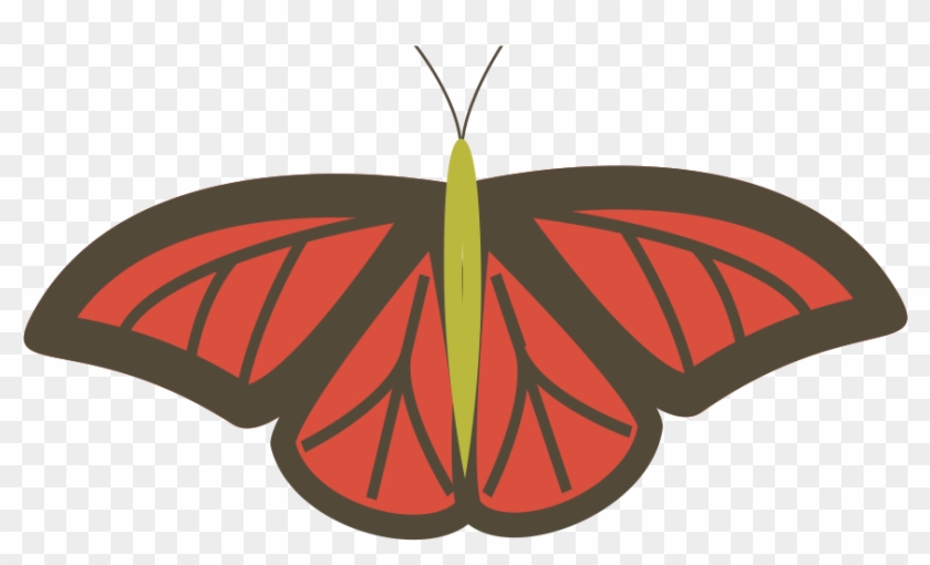 Butterfly - Butterfly #904863