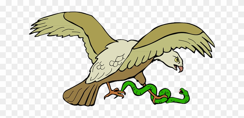 Snake, Symbol, Eagle, Bird, Wings, Claws, Caught, With - La Serpiente Y El Aguila #904968