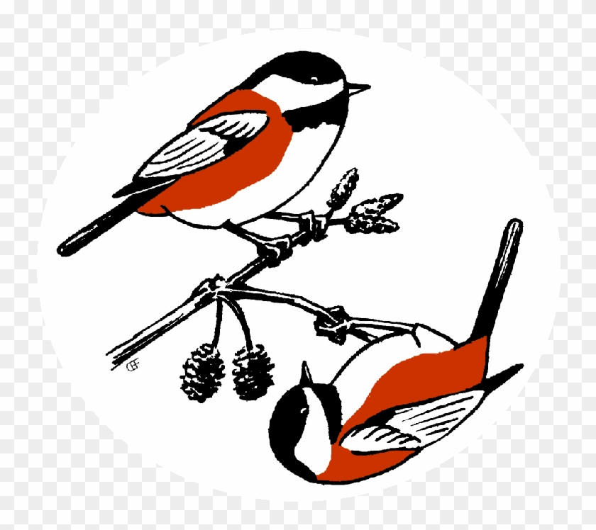 Skagway Bird Club Meeting - Chickadee #904981
