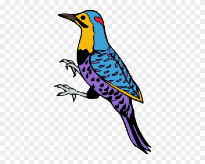 The Northern Flicker Is The State Bird Of Alabama - Woodpecker #904994