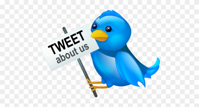 Twitter About Our Png Image - Social Media #905103