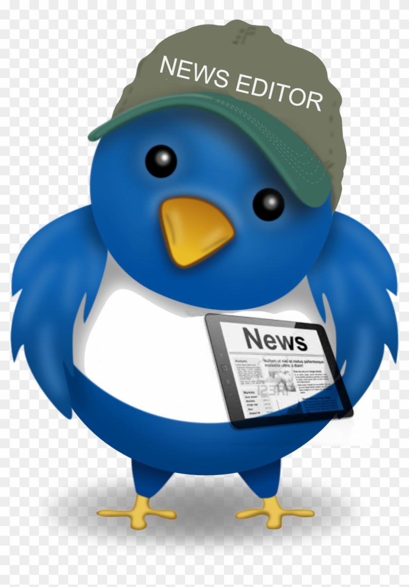 Twitter Bird News - Twitter Journalism #905112