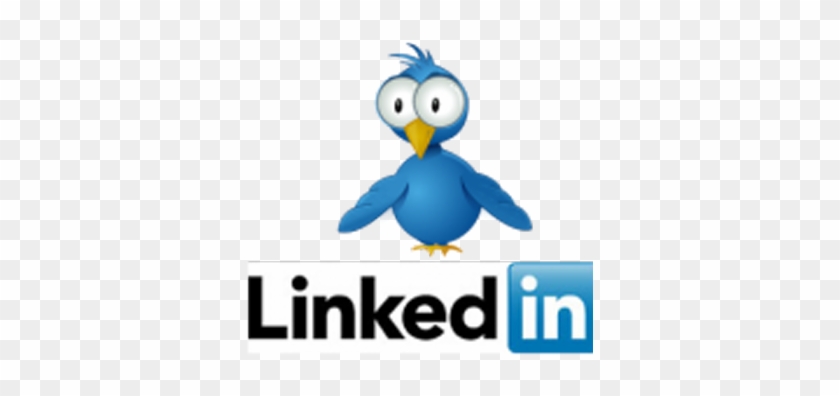 Twitter Bird And Linkedin - Linkedin: 30 Highly Effective Strategies For Attracting #905131