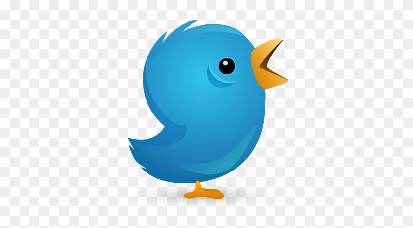 Twitter Bird Follow Me #905134
