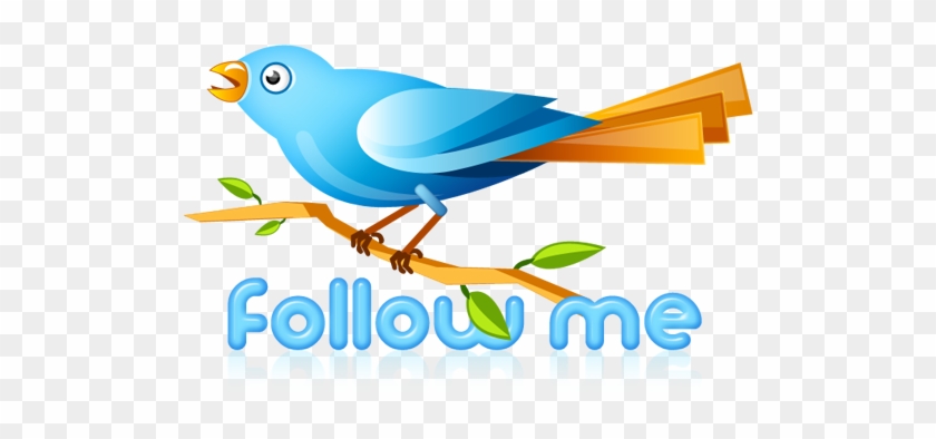 Twitter Bird Followme - Follow Me On Twitter Transparent #905146