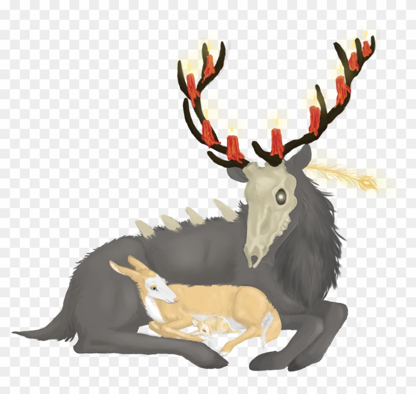 Reindeer #905591