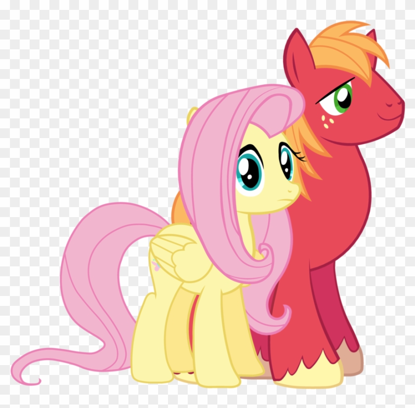 My Little Pony Fluttershy Big Mac & - Mlp Fluttershy And Big Mac #905654