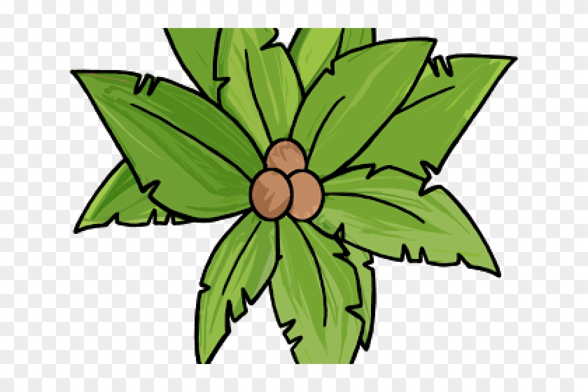 Palm Tree Clipart Top View - Clip Art #905862