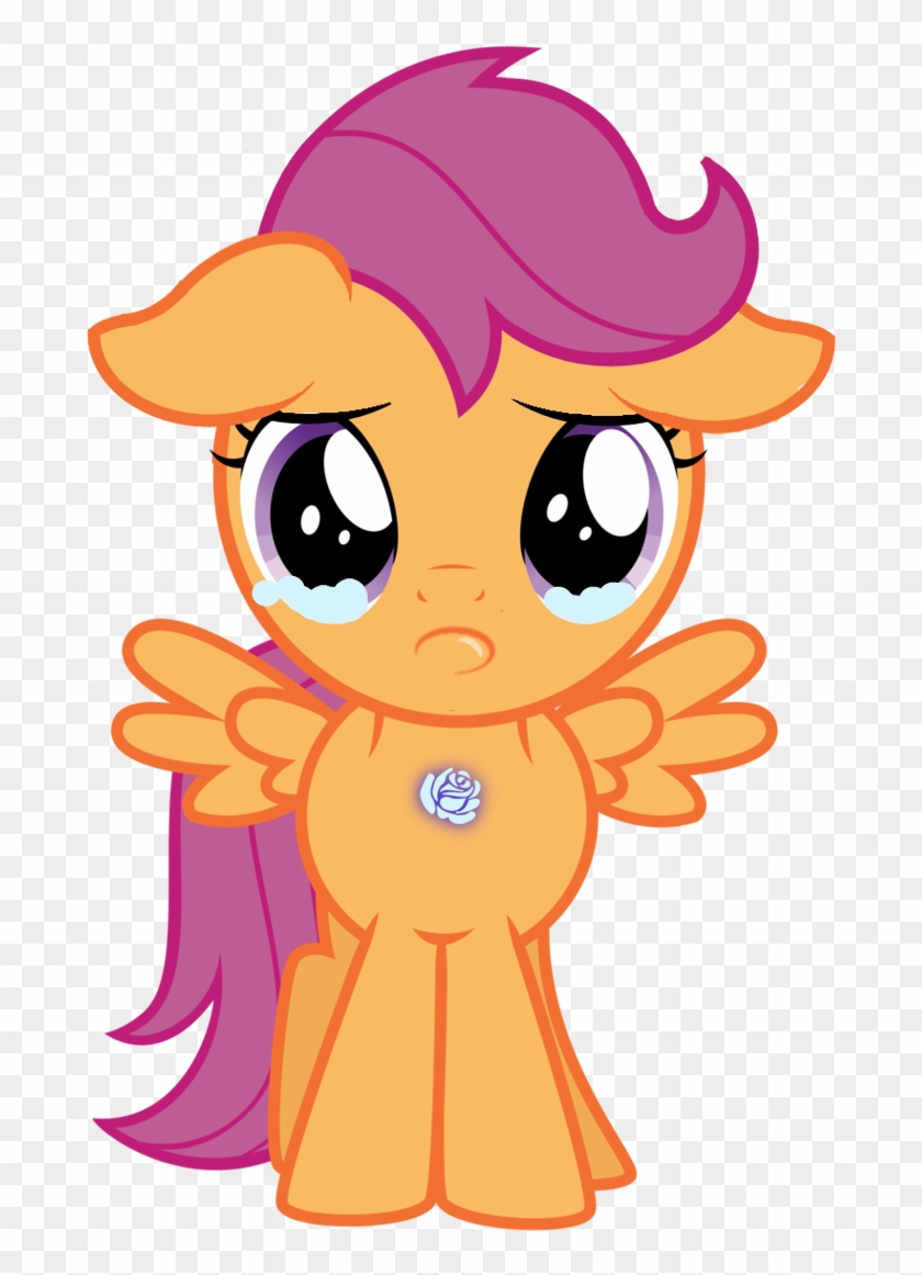 My Little Pony Character Fandom Know Your Meme - My Little Pony Scootaloo #905963