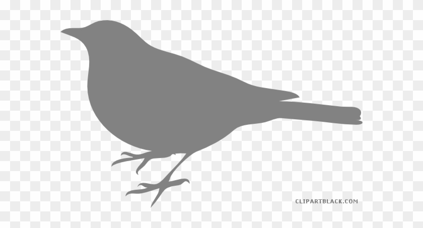Baby Bird Animal Free Black White Clipart Images Clipartblack - Bird Silhouette Clip Art #906049