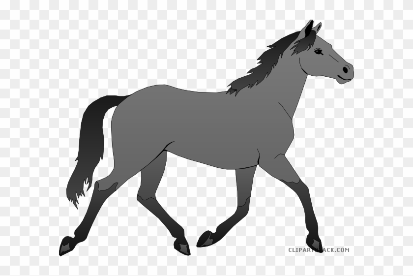 Baby Horse Animal Free Black White Clipart Images Clipartblack - Phillip Island #906053