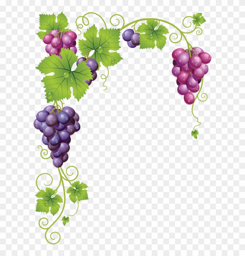 Vines Clipart Raspberry - Grapes Vector #906106