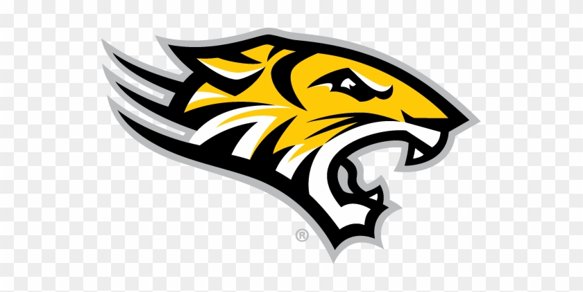 Full Color Tiger Head Graphic, Download - Towson Logo #906276