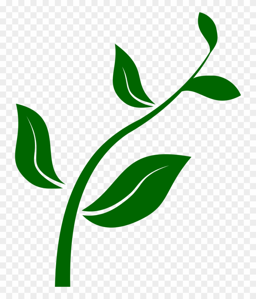 Plant Clipart - Growing Plant Clip Art #18091