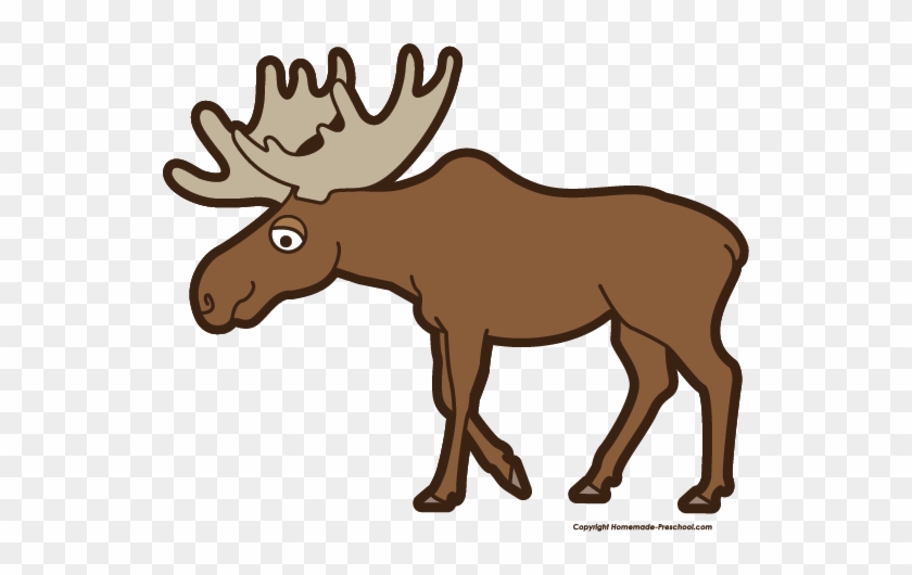 Free Moose Clipart - Clip Art Of A Moose #18116