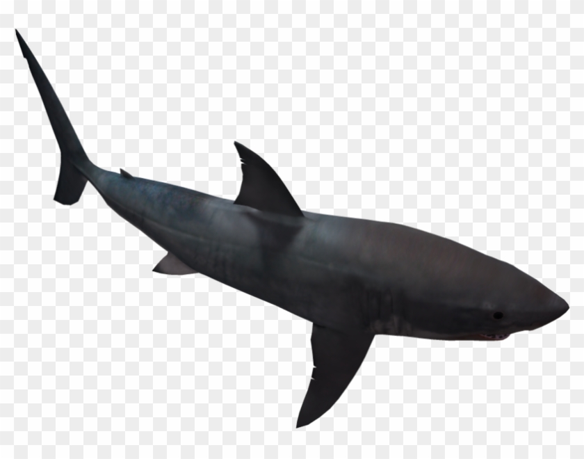 Great White Shark 05 By Wolverine041269 On Clipart - Great White Black Silhouette #18135