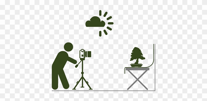 Place The Tree Against A Neutral Background - Camera Vector Side View #18259