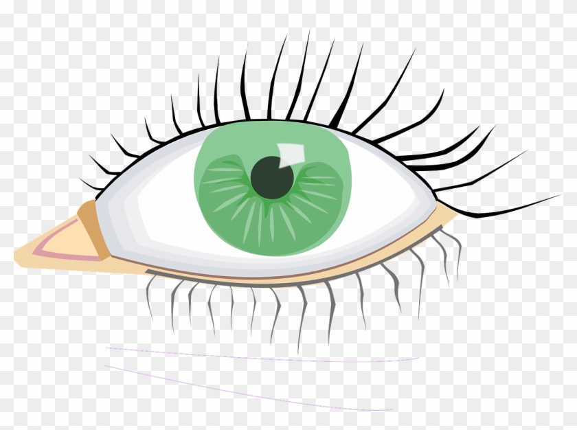 Eye Clip Art #18307