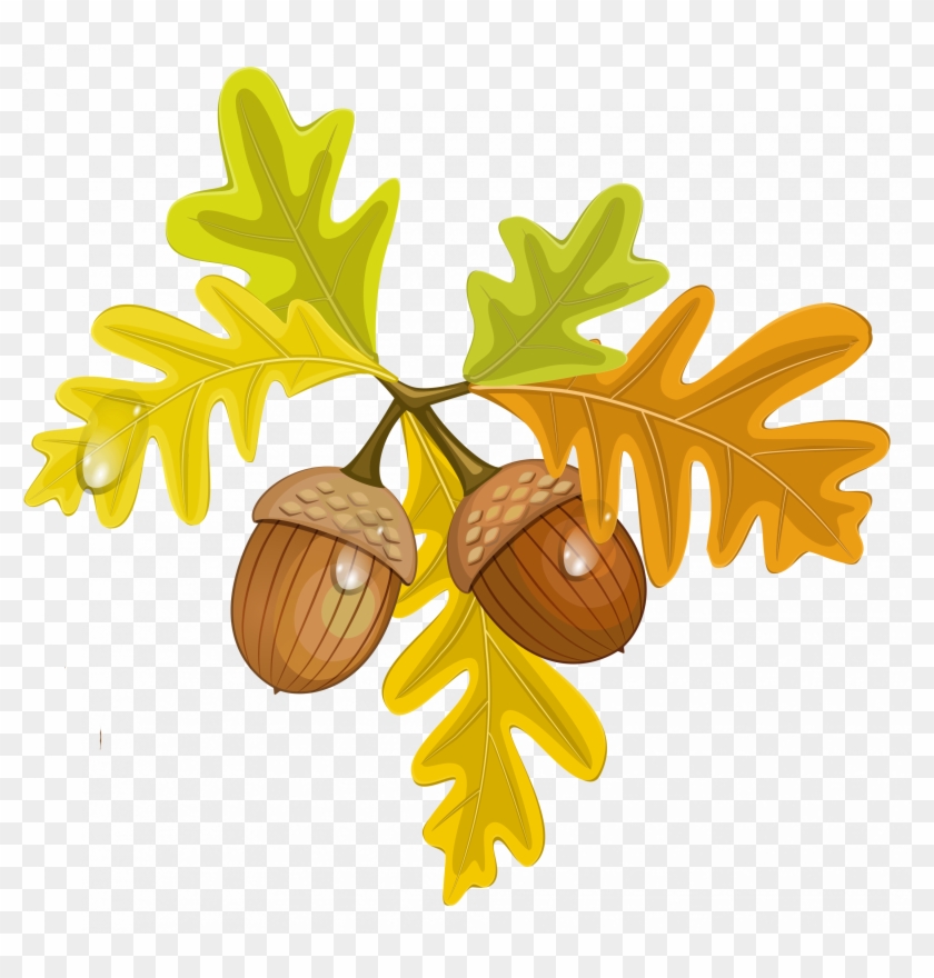 Acorn Clipart Small - Fall Acorn Clip Art #18320