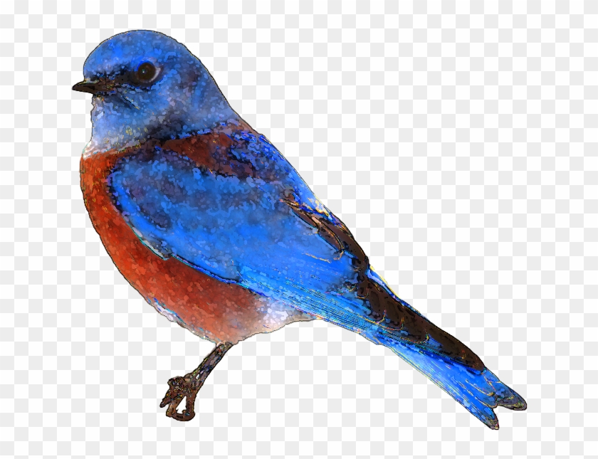 Blue Bird Clipart Png - Bluebird Clipart #18349