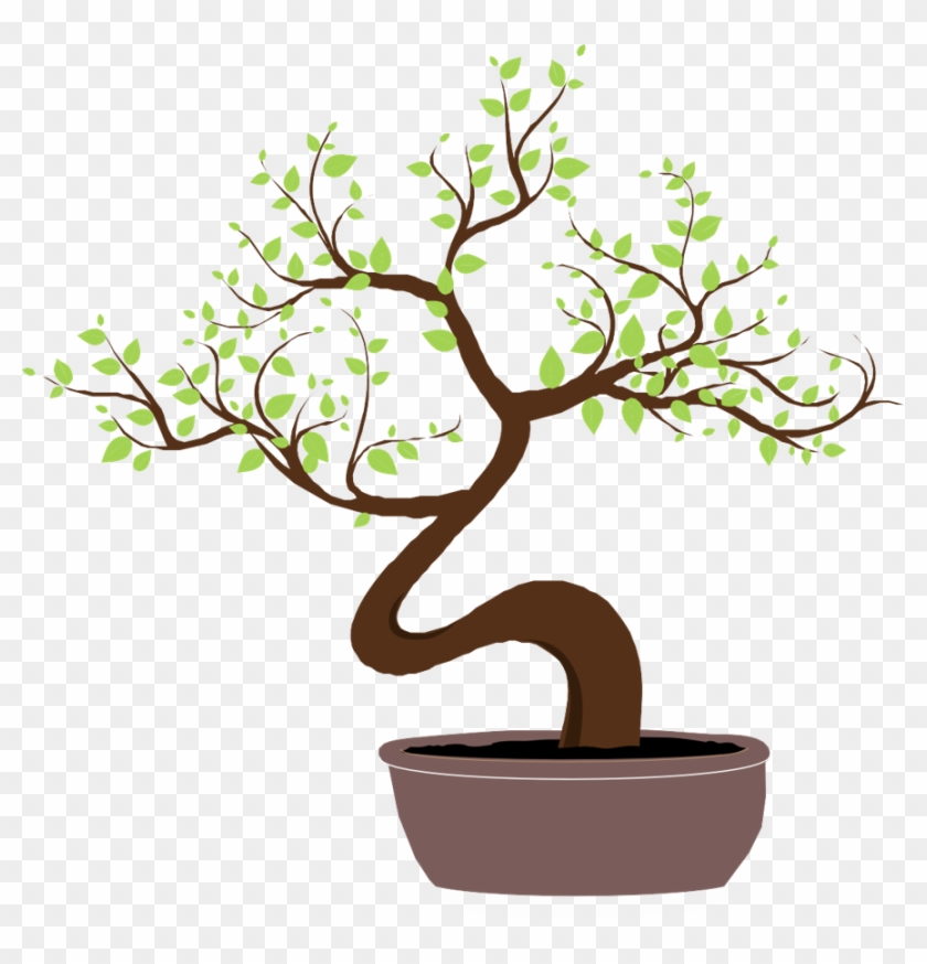 Thank You - Bonsai #18369