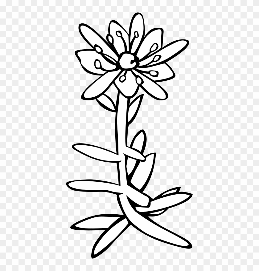 Saxifrage Clip Art #18533