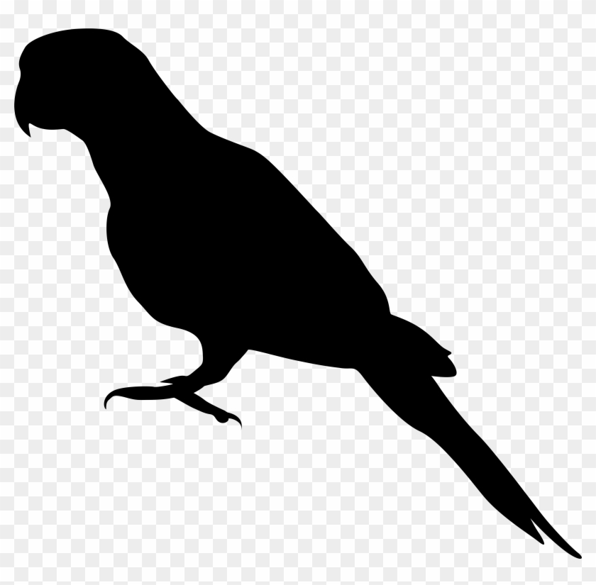 Parrot Png Silhouette Clip Art Imageu200b Gallery Yopriceville - Parrot Png Silhouette Clip Art Imageu200b Gallery Yopriceville #18559