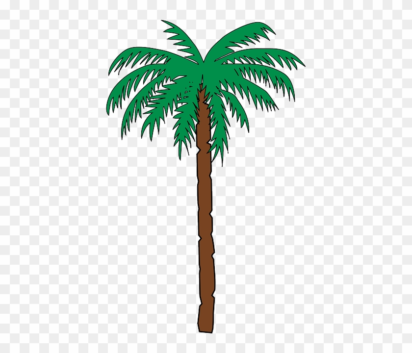 Tall Palm Tree - Haiti Coat Of Arms #18541