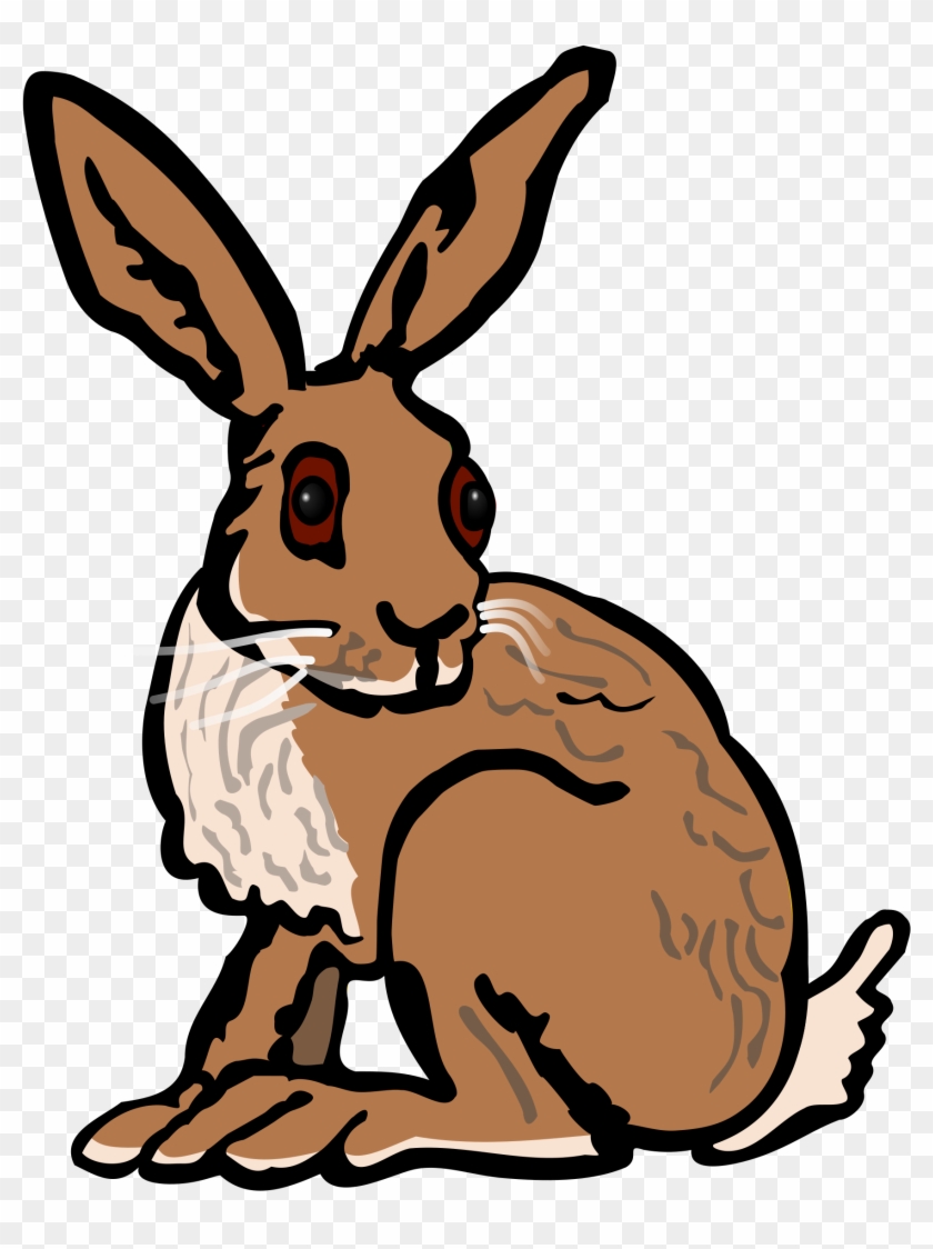 Hare Clip Art - Hare Clipart #18674