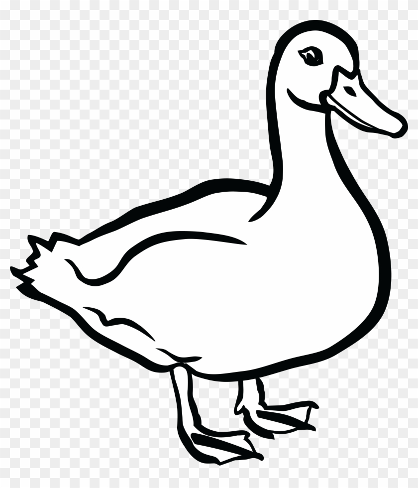 Free Clipart Of A Duck - Duck Black And White #18876