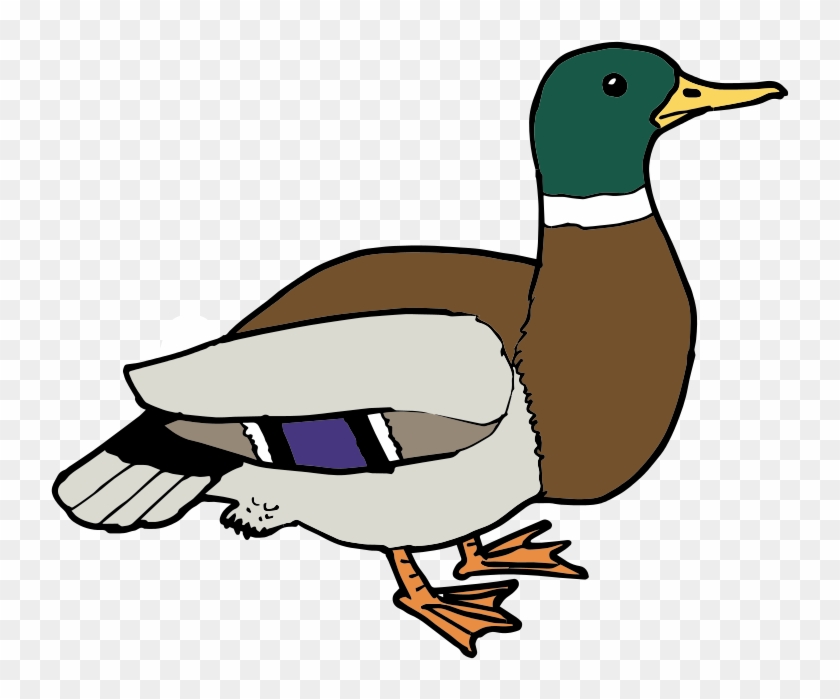 Free Duck Ø¨ø - Duck Clipart #18894